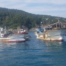 통영해양경찰서 욕지출장소 이미지