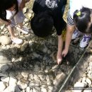 청평초등학교 이미지