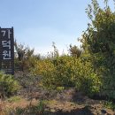 임리농장 네이버블로그