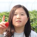 K태권스쿨 네이버블로그