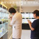 강아지분양 애견입양 아이러브독 수원점 말티푸미니비숑포메 | 강아지분양 애견입양 아이러브독 수원점 말티푸미니비숑포메 입양 후에도 관리 팁을 알려주는 든든한 곳