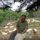 덕정목장 이미지