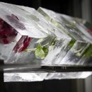 수제천국 이미지