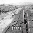 청진동해장국설렁탕