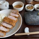 도톰카츠 - 양천구 오목로54길 12 | 도톰카츠