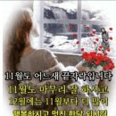 오늘 하루를 사는 일 이미지