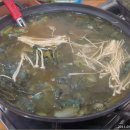 올갱이해장국 이미지