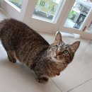 수암동물병원 이미지