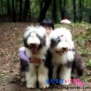 춘포파출소 이미지