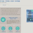 블랙우드(BLACKWOOD)