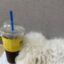 아리네개치원 이미지