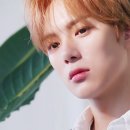 더 커넥트
