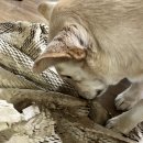 혼다매장 ∼ 친환경사업소 후문 | 2월 말~3월 일상-열심히 살면 그만큼 보답 받는다는 보장이 없는데 (2탄으로 이어져요)