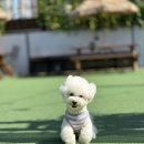 브루하하유치원 이미지