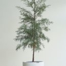 블루아이스식당 이미지