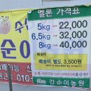 갑순이농원