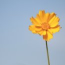 엔진마을전주점 이미지