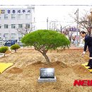 영동선거관리위원회 이미지