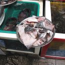 도남식당 이미지