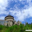 나산5일시장 이미지