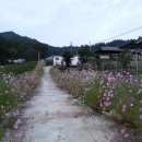 황토집민박 이미지