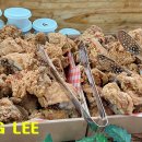 [이준성의 사진 묵상] 1532. 거부하고 반대하고 도망치고 증오해야 한다 이미지