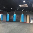 보령Y복싱클럽 네이버블로그