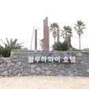 야자수 노래연습장 이미지