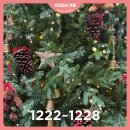 서경카서비스 | 202512 / 넷째주 + 2025년 미누네 올해의 사건들