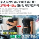한미디센큐