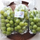 양감농장 이미지