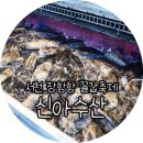 신아수산 이미지