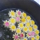 태금쿡클레스 이미지