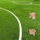 62. 겜블러 윈디