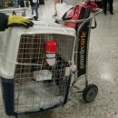 한국농장 이미지