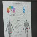 연세슬링운동센터 | 양천구보건소 별관 건강증진센터 슬링운동 6주 후기 순환운동 프로그램 모집 안내