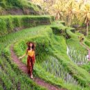 능안농장 이미지