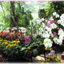 시간으로의여행 이미지