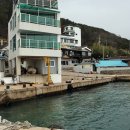 항구가누리펜션 이미지