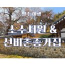 조정서원 | 영주 여행 소수서원의 가을풍경 &amp; 선비촌종가집