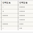G3663 네이버블로그