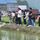 묘장초등학교 이미지