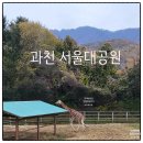 서울대공원 | [🦒4살 아이와 과천 서울대공원 동물원 후기] 코끼리열차+리프트 탑승｜가을 단풍 나들이 추천