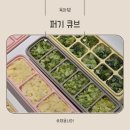 두니주니 | 퍼기 큐브 키즈마일 이유식 1등 이유식큐브 초기부터 유아식까지 활용 후기