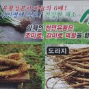 뿌리마을