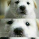 노블레스마사지 네이버블로그