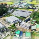 식물병원초록에서