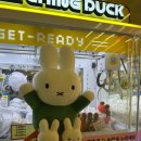 캐칭덕 오락실 이미지