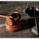 진로 행정사사무소 이미지