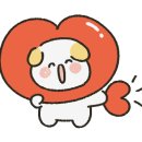 한빛태권도 이미지
